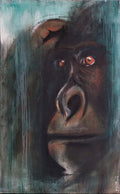 Silverback Gaze 5