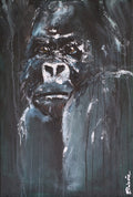 Silverback Gaze I