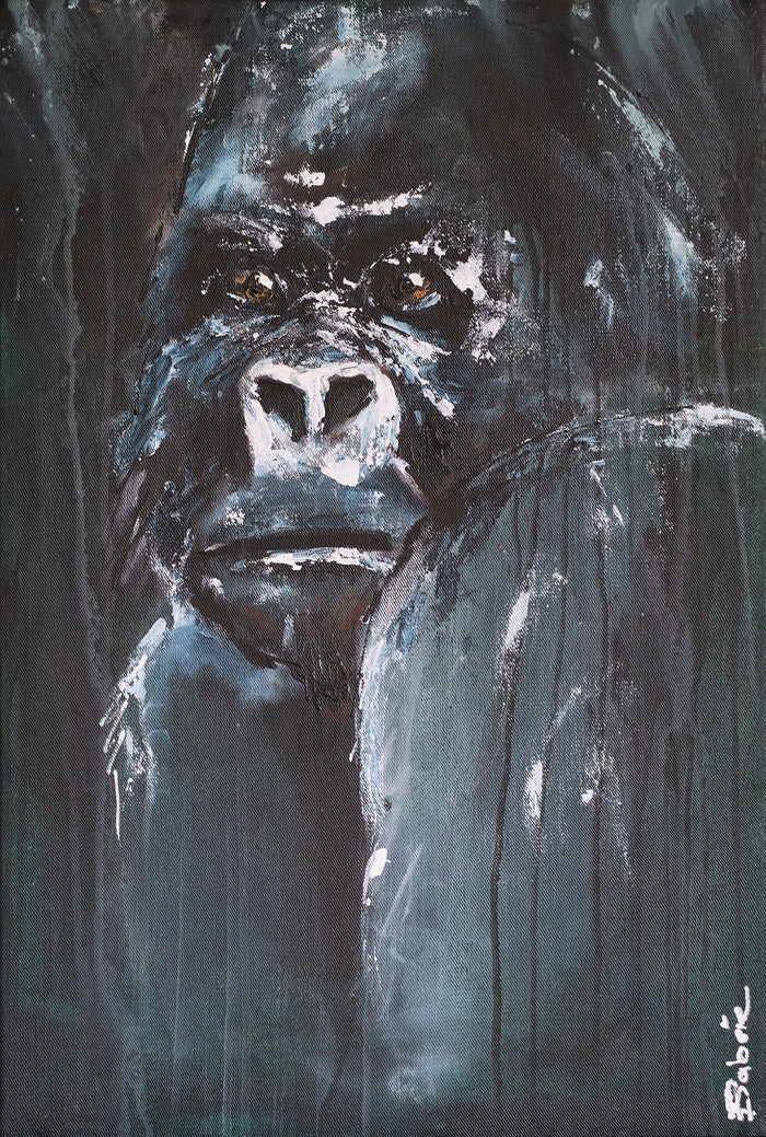 Silverback Gaze I