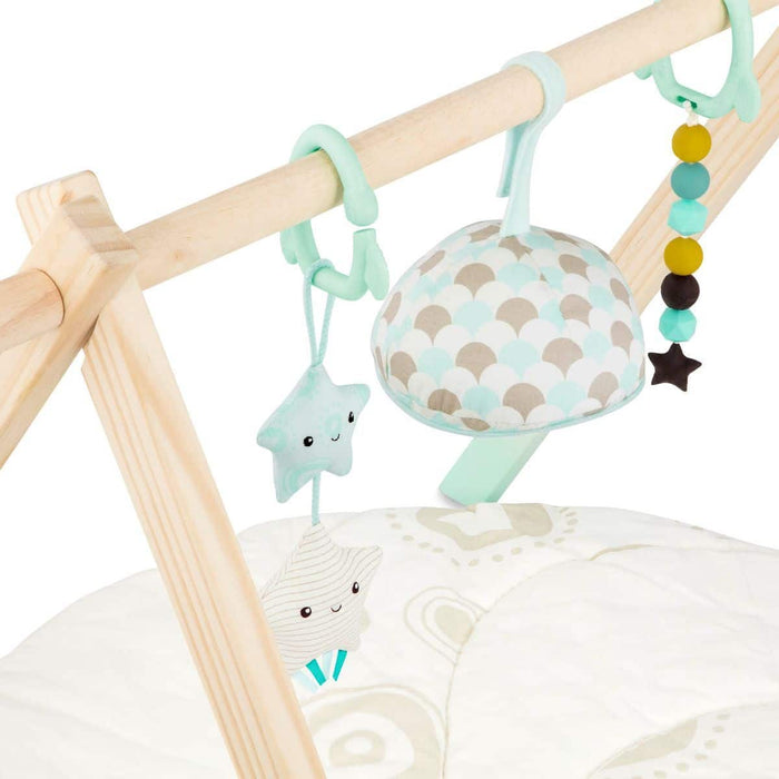 Wooden baby gym.