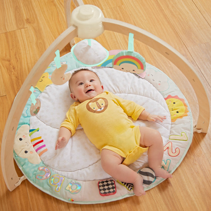 Sunrise to Sunset Play Gym - B. toys