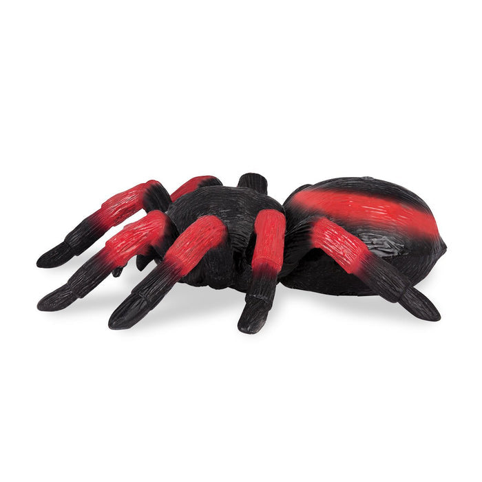 remote control spider