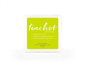 Teacher Soap Sponge