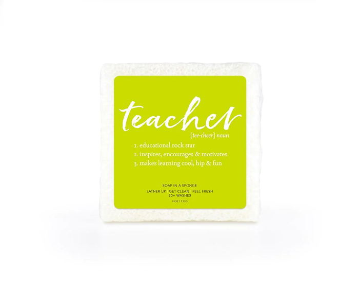 Teacher Soap Sponge