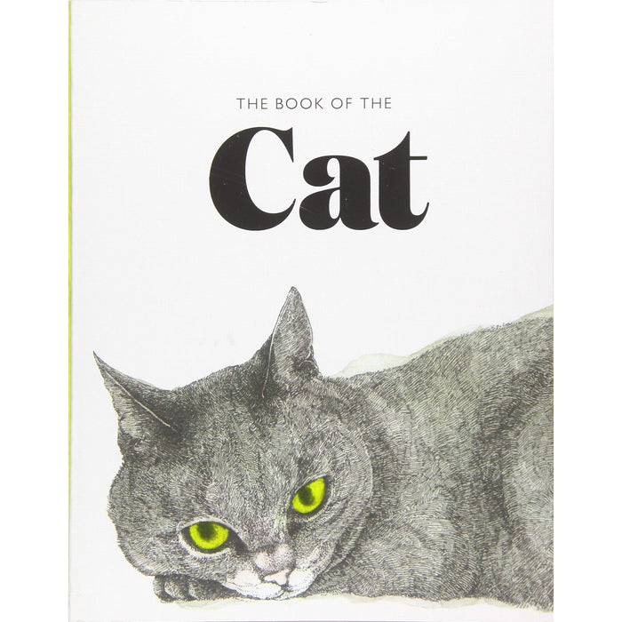 Cover of 'The Book of the Cat: Cats in Art' featuring a gray cat with green eyes.