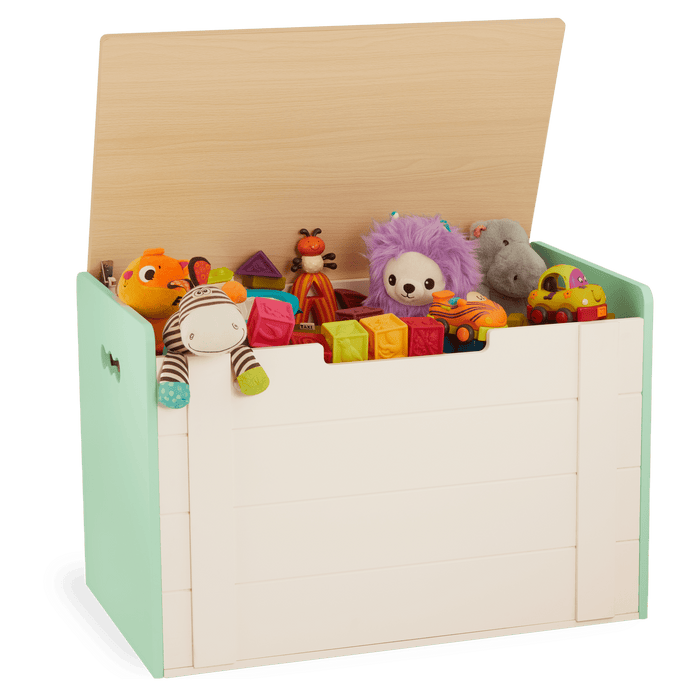 Tidy Toybox - B. toys