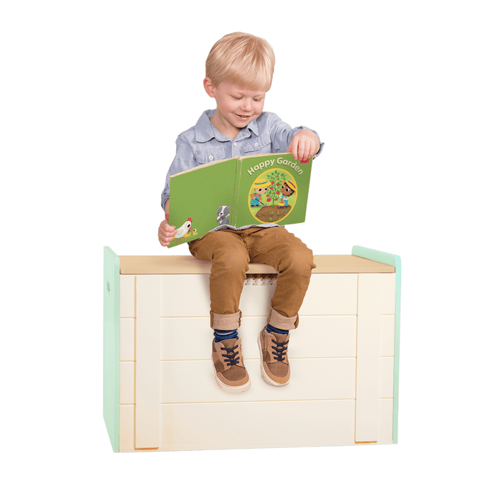 Tidy Toybox - B. toys