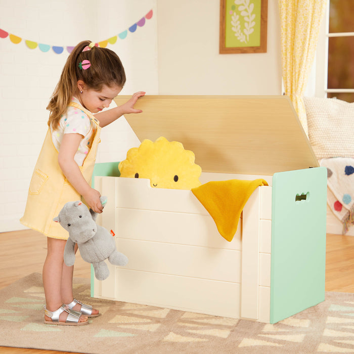 Tidy Toybox - B. toys