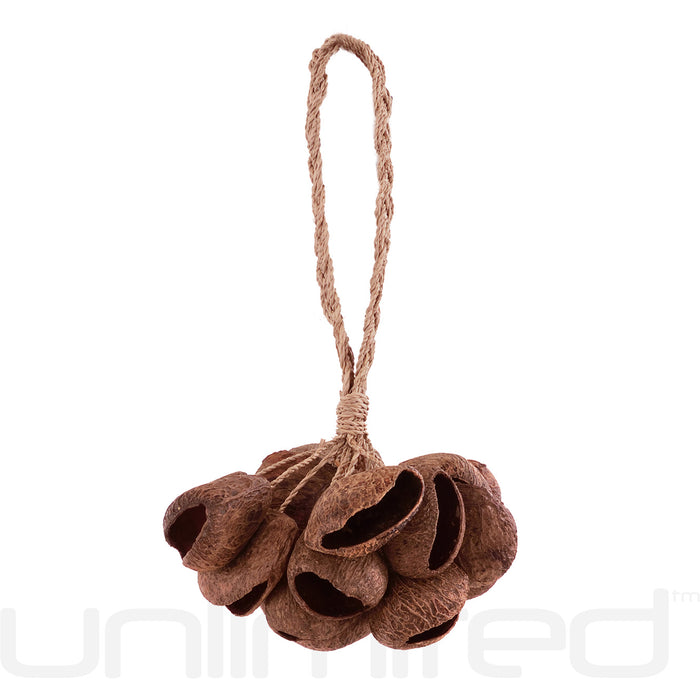 Toca Seed Pod Shaker - Gongs Unlimited