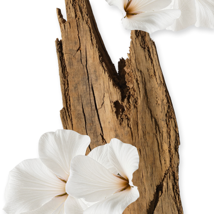 Valaya Body Cream Refill