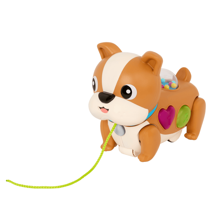 Pull toy dog with lights and sounds learning walking
