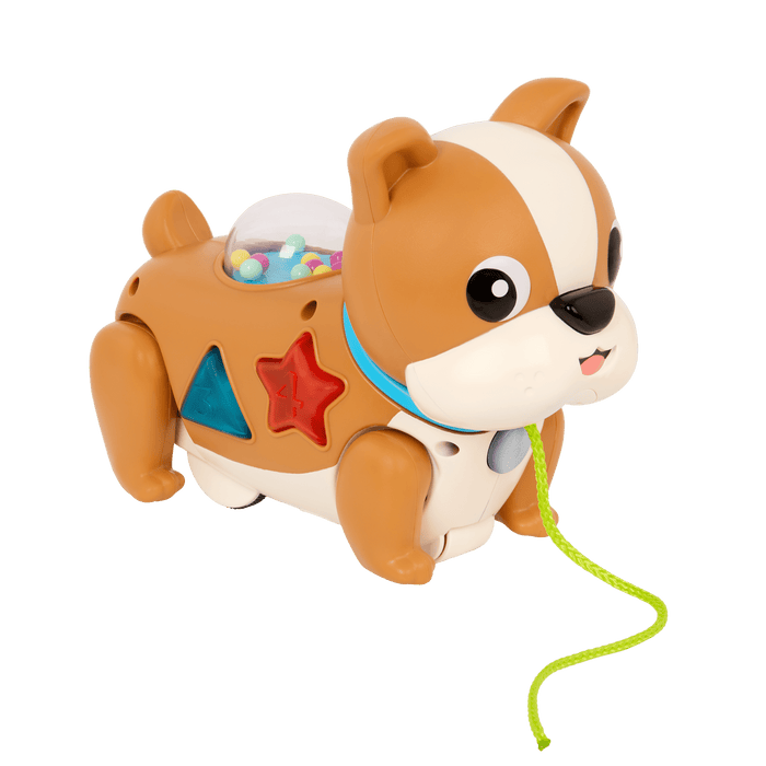 Pull toy dog with lights and sounds learning walking