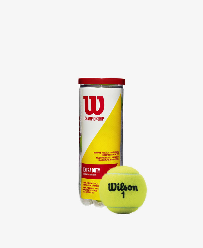 Wilson WRT100101 X-Duty Tennis Balls