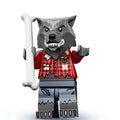 Wolf Guy, Series 14