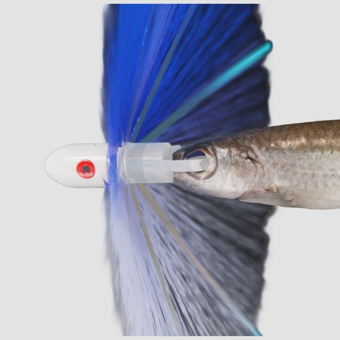 wolfpack-tackle-ahi-head-pro-ballyhoo-pre-rig-zip